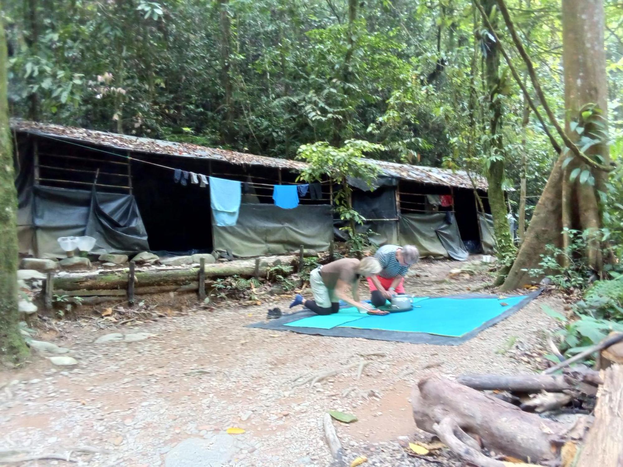 Jungle Treking & Jungle Tour If You Want To Stay Here,You Must Book Treking Only With Us Bukit Lawang Exterior foto