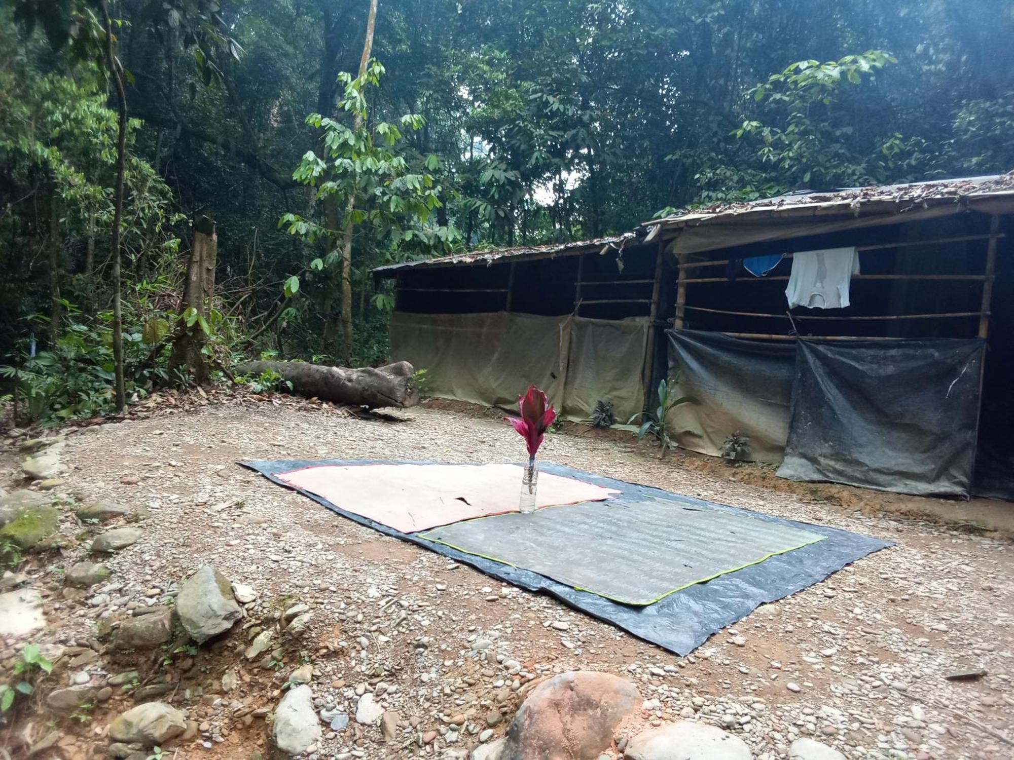 Jungle Treking & Jungle Tour If You Want To Stay Here,You Must Book Treking Only With Us Bukit Lawang Exterior foto
